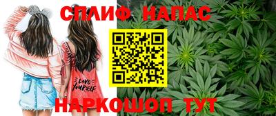мяу мяу мука Заводоуковск
