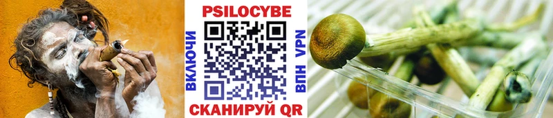 Псилоцибиновые грибы мухоморы  хочу наркоту  Луховицы 