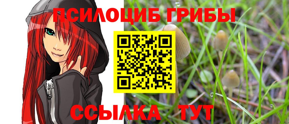 Луховицы  Галлюциногенные грибы Psilocybe  Псилоцибиновые грибы мухоморы  Вход с VPN 
